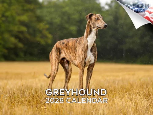 Miniatura 70 de Calendario 2025 2026 de cachorros Cocker Spaniel - Calendario mensual de pared de raza de perro - 12" x 24" abierto - Papel grueso sin sangrado