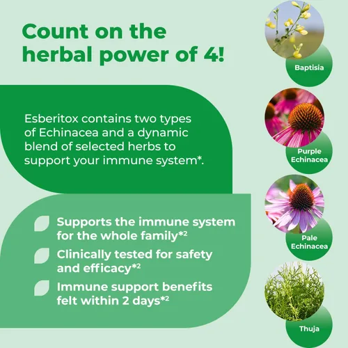 Miniatura 4 de Echinacea supercargada – 200 tabletas – Suplemento de hierbas de apoyo inmunológico con raíz de índigo silvestre y equinácea púrpura – Clínicamente