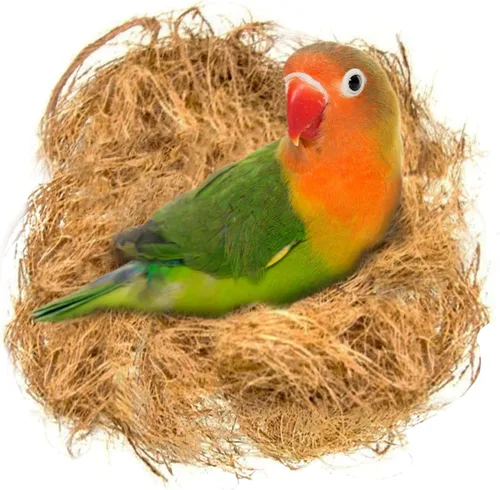 SunGrow Fibra de coco de pinzón, sustrato de cama suelto para jaulas de nido de pájaros, material de anidación para periquito canario de colibrí
