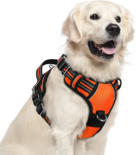 Miniatura 21 de rabbitgoo Arnés para perro de tamaño pequeño, chaleco para perro sin tirones con 3 hebillas, arnés ajustable y acolchado suave para mascotas con asa