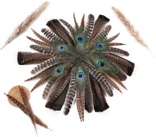 Miniatura 7 de Ballinger Plumas de faisán naturales grandes – 8-12 pulgadas, 4 estilos, 15 plumas de manualidades surtidas a granel, plumas de pavo real faisán