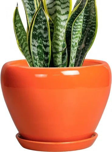 Miniatura 42 de Maceta de Cerámica Moderna con Esmalte para Suculentas con Agujero de Drenaje y Platillo, Maceta Redonda de 6 Pulgadas para Plantas de Flores