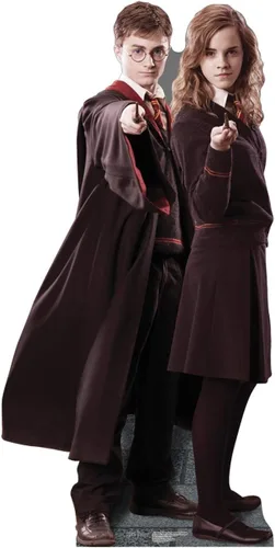 Miniatura 6 de Cardboard People Harry, Hermione & Ron in Robes - Soporte de cartón de tamaño real - Harry Potter y la Orden del Fénix