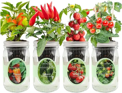 Kit de cultivo de hierbas hidropónicas, tarro de masón de riego automático, kit de inicio de jardín de hierbas para interiores, cultiva 4 tipos de