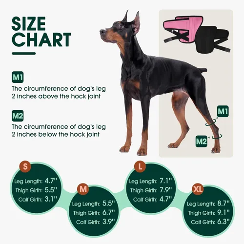 Miniatura 2 de Kuoser Soporte de pierna de perro pequeño, envoltura de compresión para patas delanteras y traseras, rodillera ajustable para perro, soporte