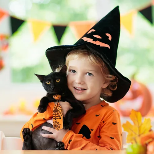 Miniatura 4 de Frienda 6 lazos de Halloween para perros pequeños, gatos, collares de perro de Halloween, ajustables, calavera, corbatas para mascotas, corbatas