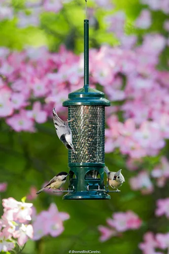 Miniatura 5 de Comedero de aves silvestres Squirrel Buster 1057 de Brome, con 4 posaderos de metal, con capacidad para 0.75 a 1.3 lb de semillas, estándar, 5