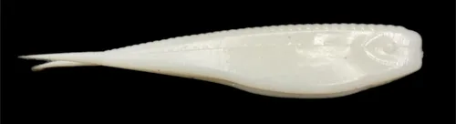 Miniatura 21 de Phat Pak Baits - Micro Drunkin Shad Tiny Fluke Style LiveScope FFS Soft Jerkbait 2.5" 30ct Soft Plastic BFS Bass Fishing Lure Yellow Perch