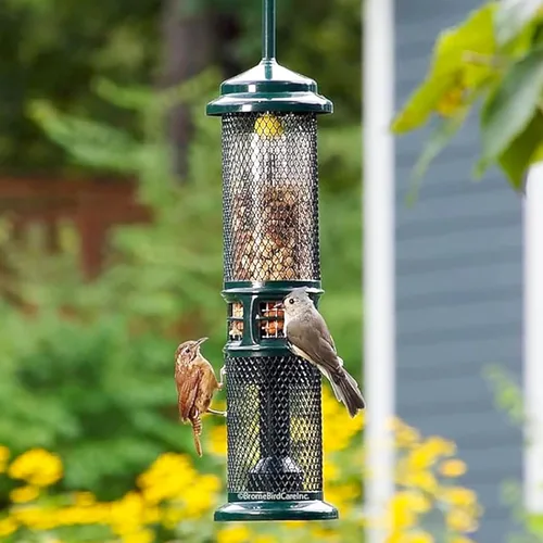 Miniatura 5 de Comedero para Nueces Squirrel Buster - Comedero para Pájaros a Prueba de Ardillas para Nueces y Frutas, Dos Mallas