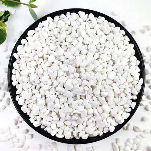 YISZM Grava para suculentas y cactus de 10 libras, guijarros pulidos decorativos naturales blancos de 1/5 pulgadas para paisajismo, rocas de río
