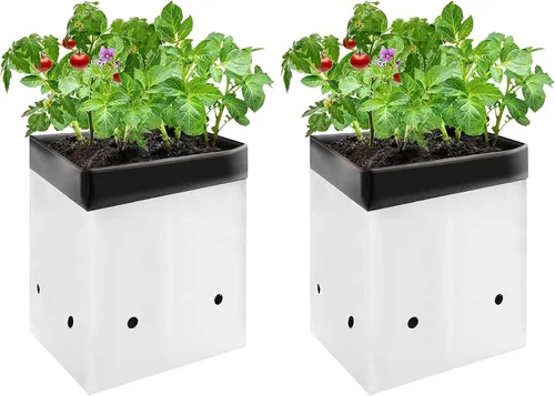 Miniatura 8 de VIVOSUN Paquete de 50 bolsas de cultivo de 1 galón para plantas, contenedores de película de panda en blanco y negro, bolsa de plástico gruesa