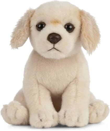 Living Nature Golden Retriever - Cachorro de peluche suave y realista para perro, peluche ecológico Naturli, 6 pulgadas