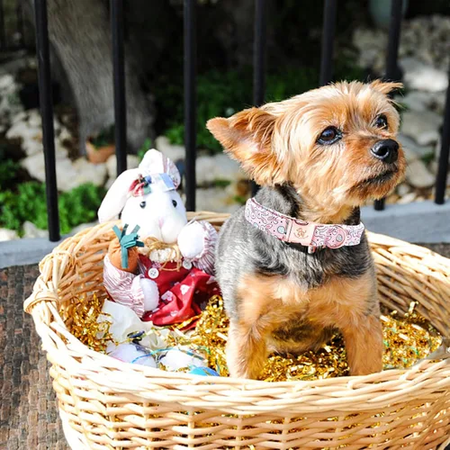 Miniatura 5 de Elegant little tail Collar para perro de Pascua, collar de perro con estampado de huevos de conejo, collar para mascotas, collar rosa para perros