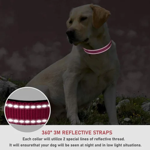 Miniatura 4 de Collar reflectante para perro con hebilla, collares de nailon de seguridad ajustables para perros pequeños, medianos y grandes, rosa intenso