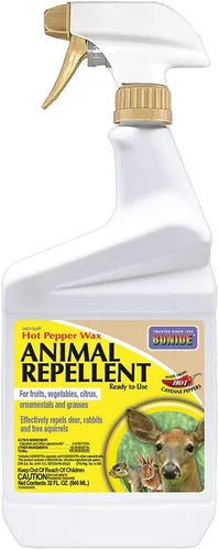 Bonide Repelente de animales de cera de pimiento picante, espray listo para usar de 32 onzas para ciervos, ardillas, conejos en césped y jardín