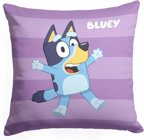 NORTHWEST Bluey Pillow, 18 x 18 pulgadas, rollo de llamada Bluey Roll Call Bluey
