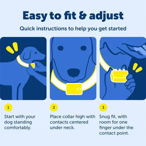 Miniatura 6 de PetSafe - Collar de entrenamiento remoto para perros – tono, vibración, 15 niveles de estimulación estática, estándar de 8 lb+ o Little Dog Lite