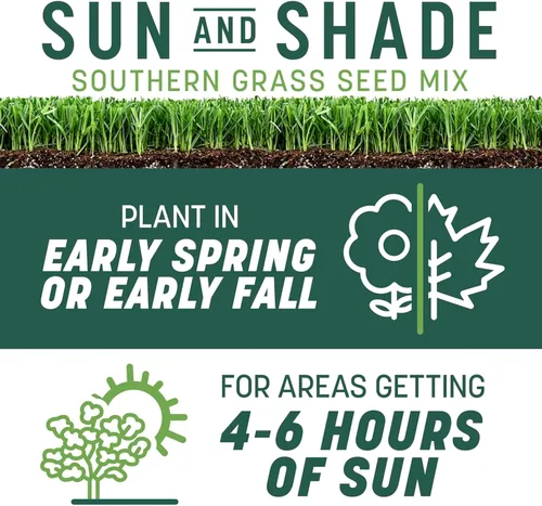 Miniatura 2 de Pennington Smart Seed Sun and Shade - Mezcla de semillas de césped alto para césped del sur, 7 libras
