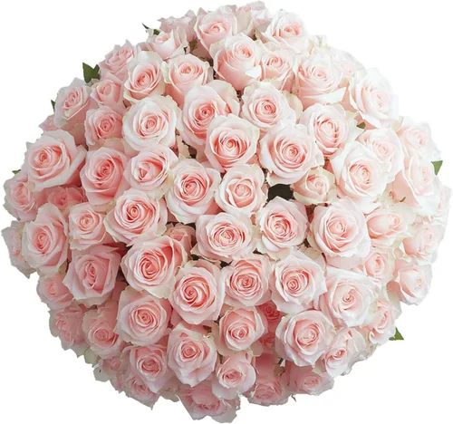 Miniatura 17 de GlobalRose Ramo de 50 rosas surtidas, rosas de origen responsable, flores frescas, ramo fresco de flores seleccionadas a mano para el día