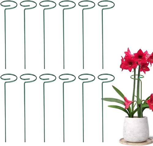 Miniatura 10 de Paquete de 4/8/12 estacas para plantas, estacas de soporte para plantas de 16/24/36 pulgadas, nuevo soporte de palos para plantas 2025, estacas