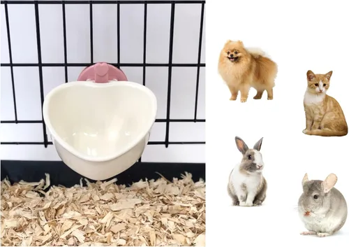 Miniatura 11 de Choco Nose Tazón de comida extraíble patentado en forma de corazón para perros, cachorros, conejos, gatos, cobayas, chinchillas, pájaros, plato
