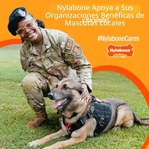 Miniatura 8 de Nylabone Nuevo Kit de iniciación para cachorros, juguetes masticables y golosinas naturales para masticar para cachorros, juguetes para la dentición