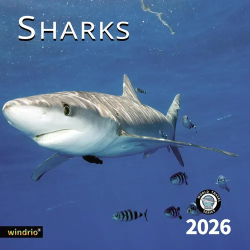 Miniatura 12 de Calendario de pared 2026, Calendario divertido 2026, noviembre de 2025 - diciembre de 2026, calendario de pared con memes divertidos de animales, 12