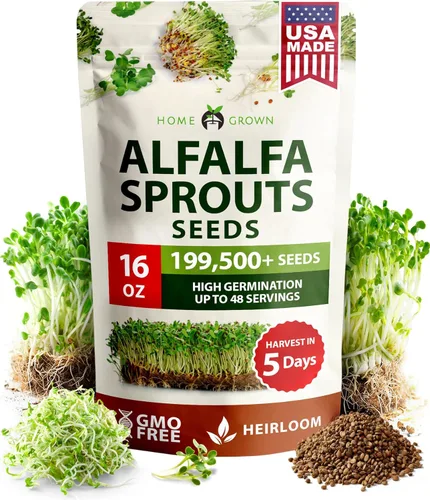 HOME GROWN Semillas de brote de alfalfa sin OMG, 16 oz (453.6 g) Paquete a granel con miles de semillas de alfalfa para brotes y microgreens, para