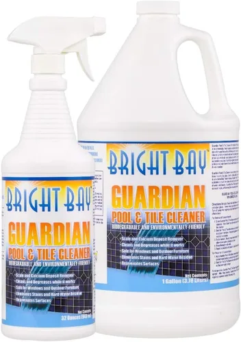 Eliminador de acumulación de calcio y escoria, limpiador Guardian para piscinas y azulejos, 2 unidades (1 galón y 1 cuarto de galón) - Apunta al