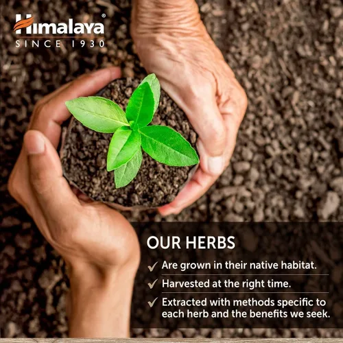 Miniatura 7 de Himalaya GlucoCare - Metabolismo de la glucosa a base de hierbas y apoyo pancreático con melón amargo, gimnasia, trifala y cúrcuma - Soporte natural