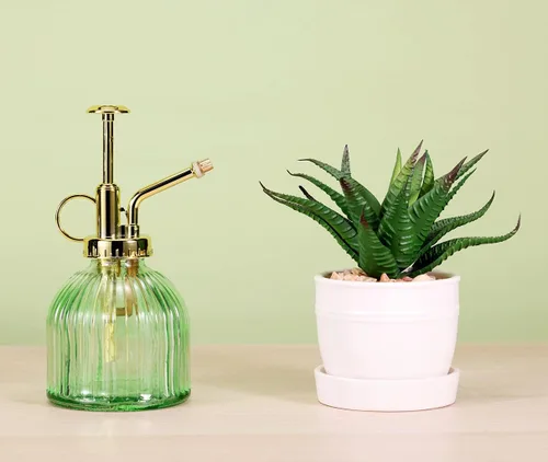 Miniatura 4 de Botella pulverizadora de vidrio para plantas, botella de rociador de agua de vidrio verde de 6.5 pulgadas con bomba superior dorada, regadera