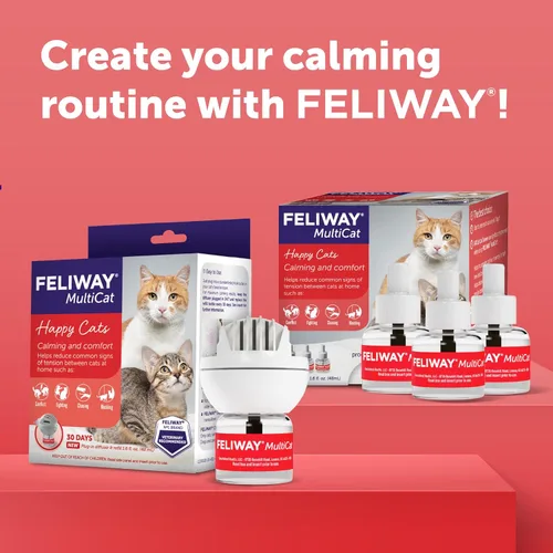 Miniatura 8 de FELIWAY MultiCat - Kit de difusor calmante para gatos y 6 paquetes de recambio, ayuda a reducir la lucha, la tensión y la agresión entre gatos