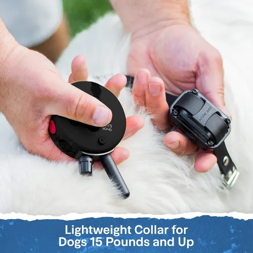 Miniatura 8 de Educator ET-302 Collar Mini Negro E para Adiestramiento de Perros con Control Remoto - Alcance de 1/2 Milla, Resistente al Agua, 100 Niveles