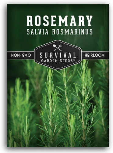 Semillas de romero para plantar - Semillas de jardín de supervivencia (paquete de 1) | Heirloom Rosemary Herb (Salvia rosmarinus) for Indoor or