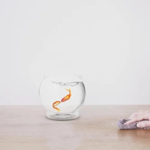 Miniatura 9 de POPETPOP - Cuenco de plástico pequeño para pecera, para escritorio, acuario, cuenco redondo transparente para plantas, hogar, oficina, jardín