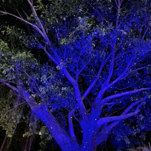 Miniatura 3 de Firefly - Luces de jardín con proyector de estrellas, luces láser de Navidad para jardín, césped, patio