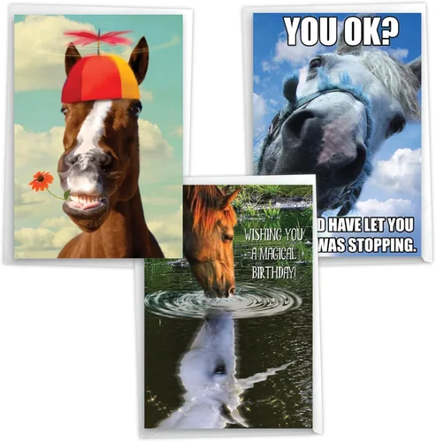 Miniatura 9 de NobleWorks Paquete de 3 divertidas tarjetas de felicitación de cumpleaños con sobres (1 diseño, 3 cada uno) comedero vacío para pájaros C2561BDG-C3x1