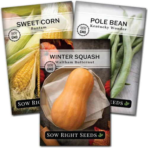 Sow Right Seeds - Colección de semillas de 3 hermanas para plantar - Paquetes de maíz dulce Bantam, frijol Wonder Pole de Kentucky y calabaza