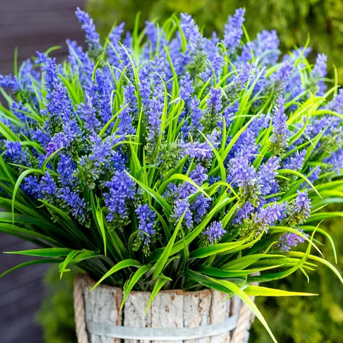 AXYLEX Flores artificiales para decoración de exteriores, 20 paquetes de hierba falsa de color lavanda, mono, plantas sintéticas de plástico Morado