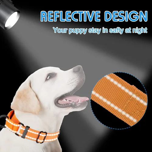 Miniatura 5 de 4 collares Martingale para perros, multicolor, gargantilla para perros pequeños, collar de cachorro para entrenamiento de cachorros