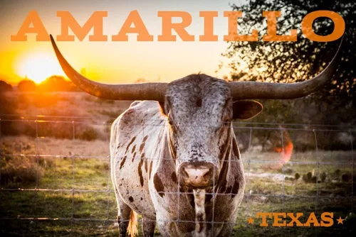 Lantern Press Rompecabezas de 1000 piezas, Amarillo, Texas, Longhorn y Sunset