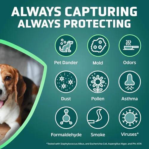 Miniatura 2 de Germ Guardian FLT5250PT True HEPA - Filtro de repuesto genuino C para purificador de aire, con tratamiento Pet Pure para GermGuardian AC5250PT