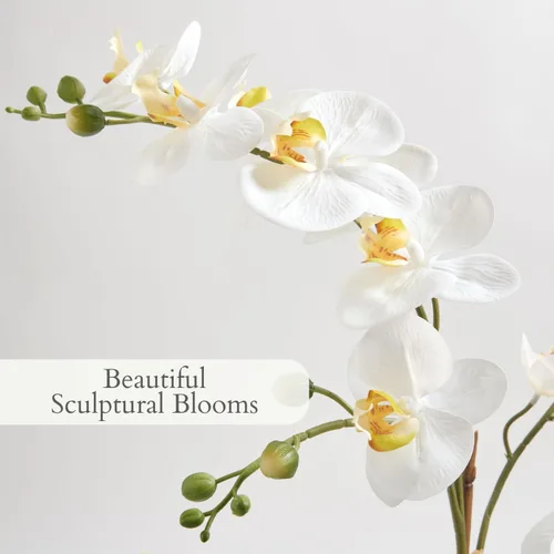 Miniatura 3 de CG Hunter Planta de orquídea sintética con suculentas, soporte de exhibición de flores artificiales de alta calidad para interiores de 23 pulgadas
