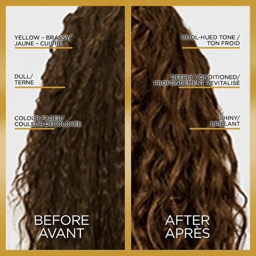 Miniatura 2 de L'Oreal Paris Le Color One Step Toning Hair Gloss, Castaño Frío, 4 onzas Fresco Morena