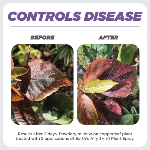 Miniatura 5 de Earth's Ally Spray 3 en 1 para plantas concentrado de 8 onzas para plagas y enfermedades – insecticida orgánico, fungicida, miticida – Listado OMRI