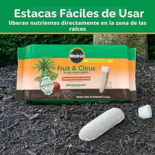 Miniatura 5 de Barras fertilizantes 100396 de Miracle-Gro para árboles frutales y cítricos, paquete de 12, 12