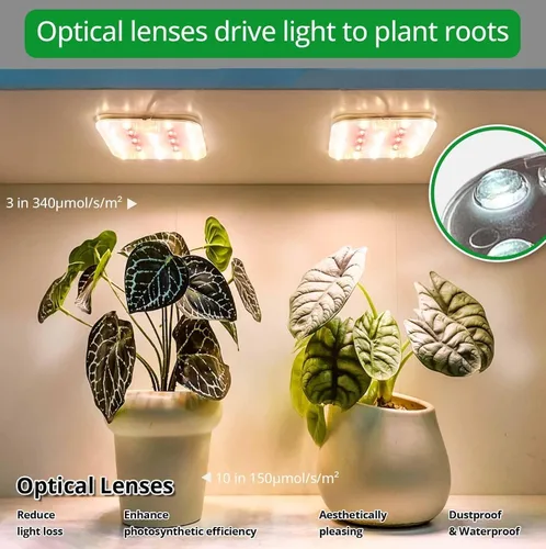 Miniatura 5 de Luz LED de espectro completo para cultivo de plantas de interior, 2 paneles de 10 W con temporizador de 6/12/16 horas, luces regulables para plantas