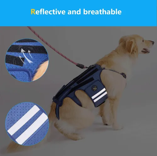 Miniatura 5 de Coodeo Soporte de espalda para perros para artritis, soporte de espalda para mascotas para IVDD, protector de espalda ayuda a aliviar el dolor, Azul