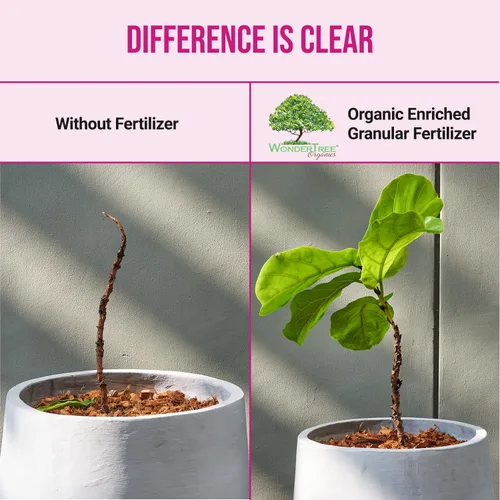 Miniatura 8 de Eden Rose & Flower Fertilizante orgánico enriquecido Alimento para plantas de neem-7-5-3 fórmula enriquecida para el mejor crecimiento de flores