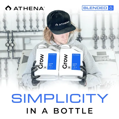 Miniatura 7 de Athena Blended Grow A&B Fertilizante líquido vegetativo de 2 partes para hidroponía y suelo Alimento vegetal para crecimiento en etapa vegetal
